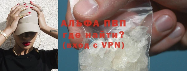 стаф Нея