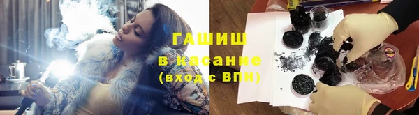 стаф Нея
