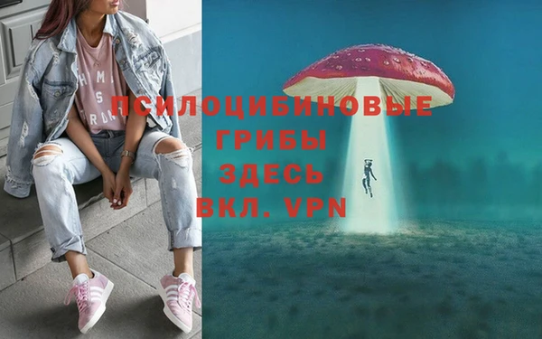 альфа пвп Нефтегорск