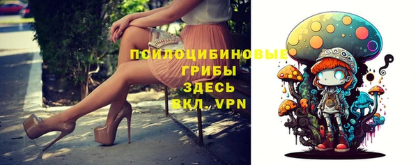 альфа пвп Нефтегорск
