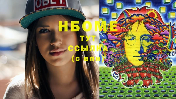 МДПВ Туринск