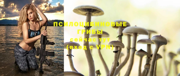 стаф Нея