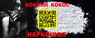 кокс Гатчина