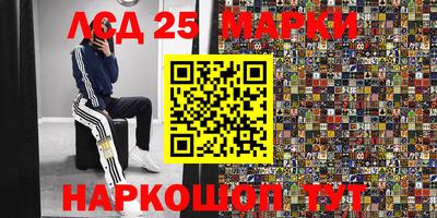 кокс Гатчина
