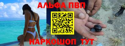кокс Гатчина