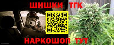 кокс Гатчина