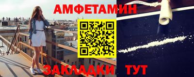 кокс Гатчина