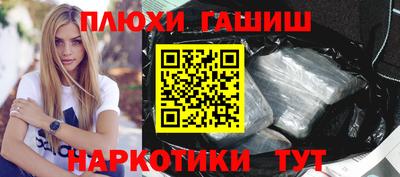 кокс Гатчина