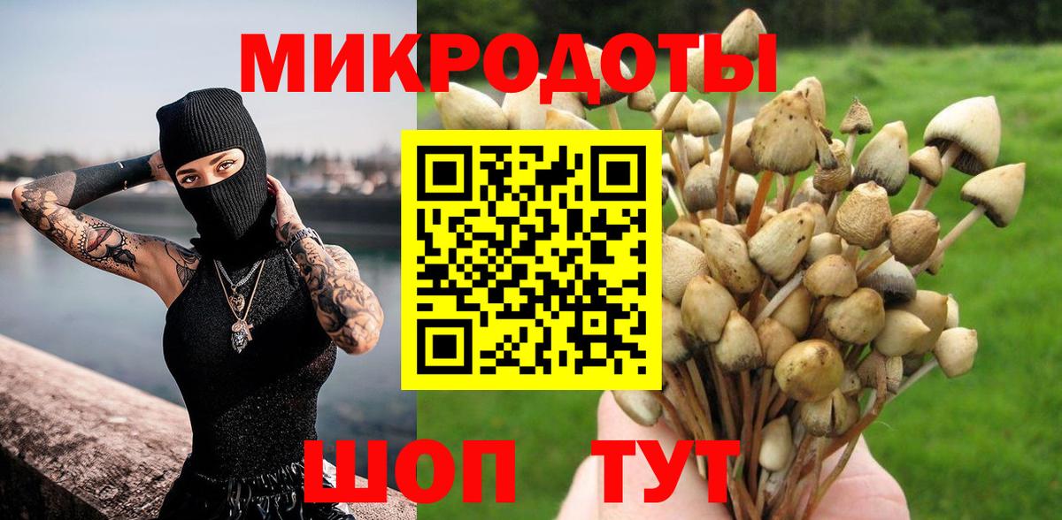 Галлюциногенные грибы мухоморы  Димитровград  Галлюциногенные грибы Cubensis 