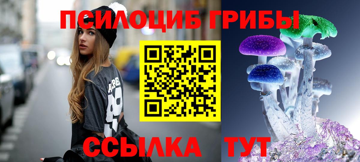 Галлюциногенные грибы Psilocybe  Вход с VPN  Димитровград 