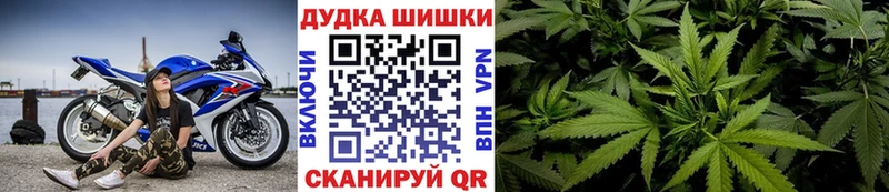 Конопля ГИДРОПОН  что такое   Димитровград 